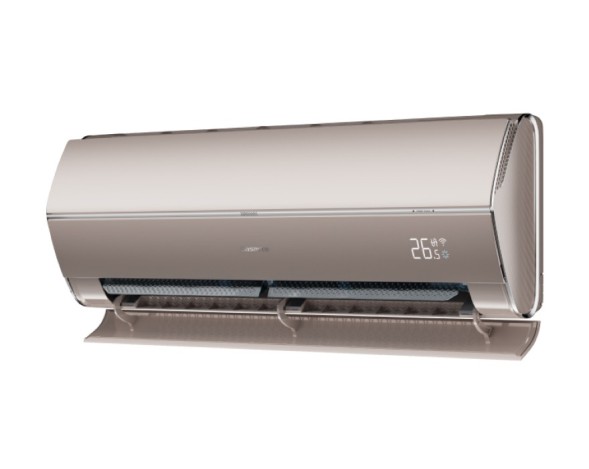 Casarte СAS25MW1/R3-G