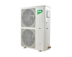 Ballu BLC_D-60HN1 21Y